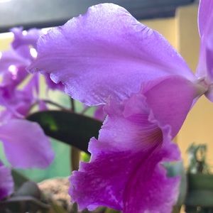 Meet your Posher, Jesslyn